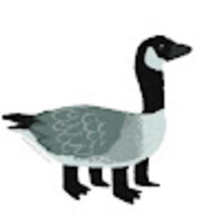 Meet your Posher, Mason